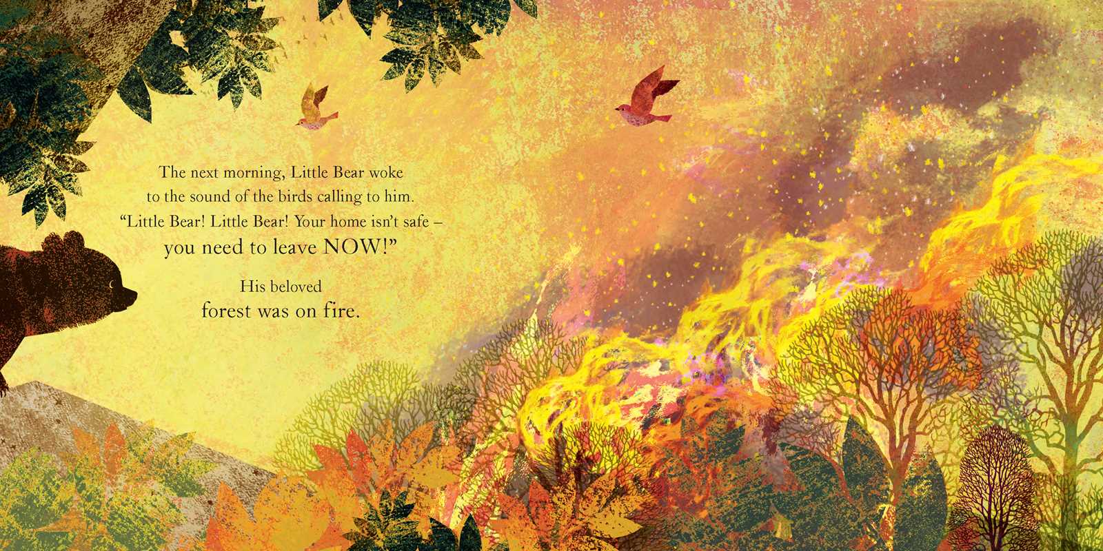 SOMEWHERE FOR LITTLE BEAR - BOOK