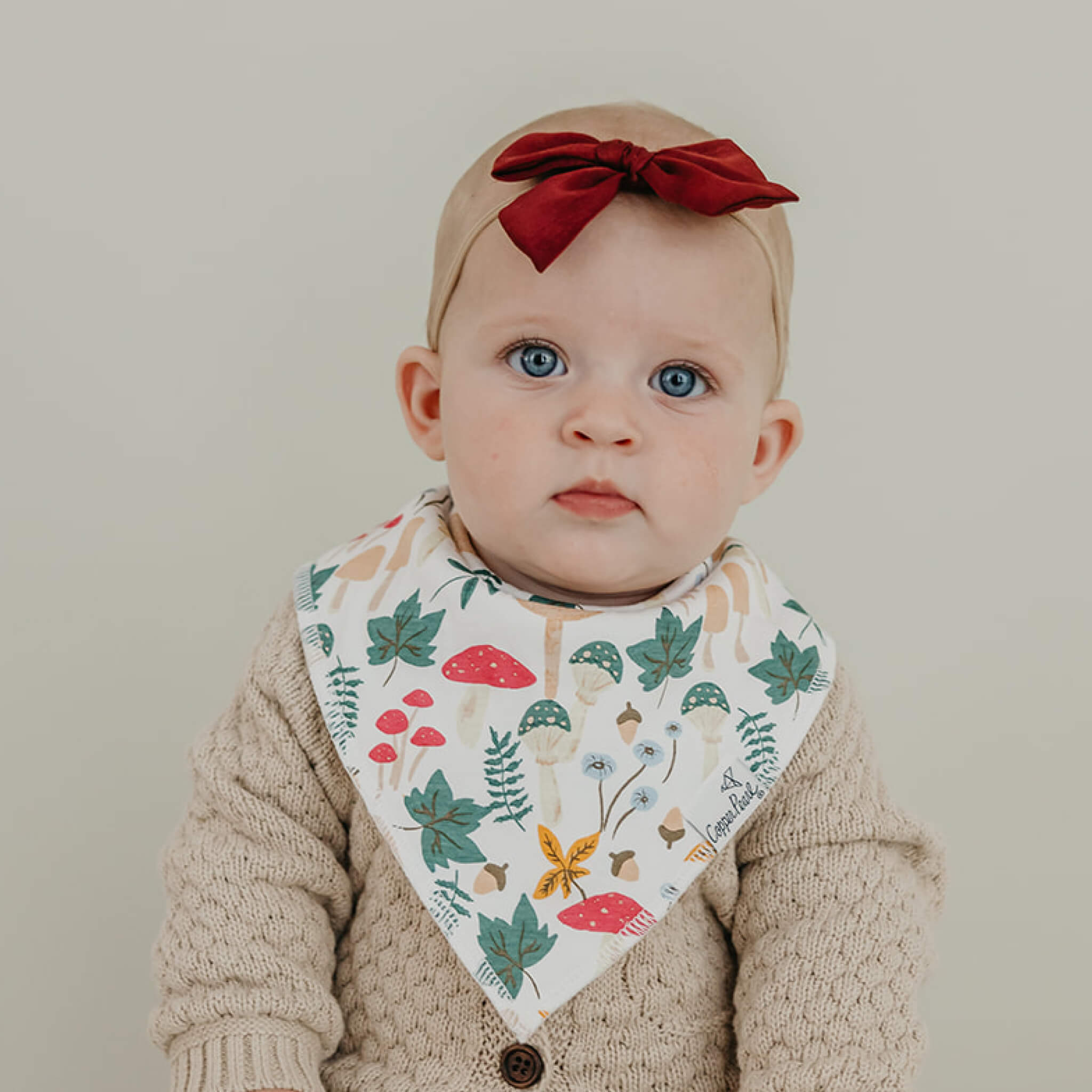 BABY BANDANA BIBS - IVY