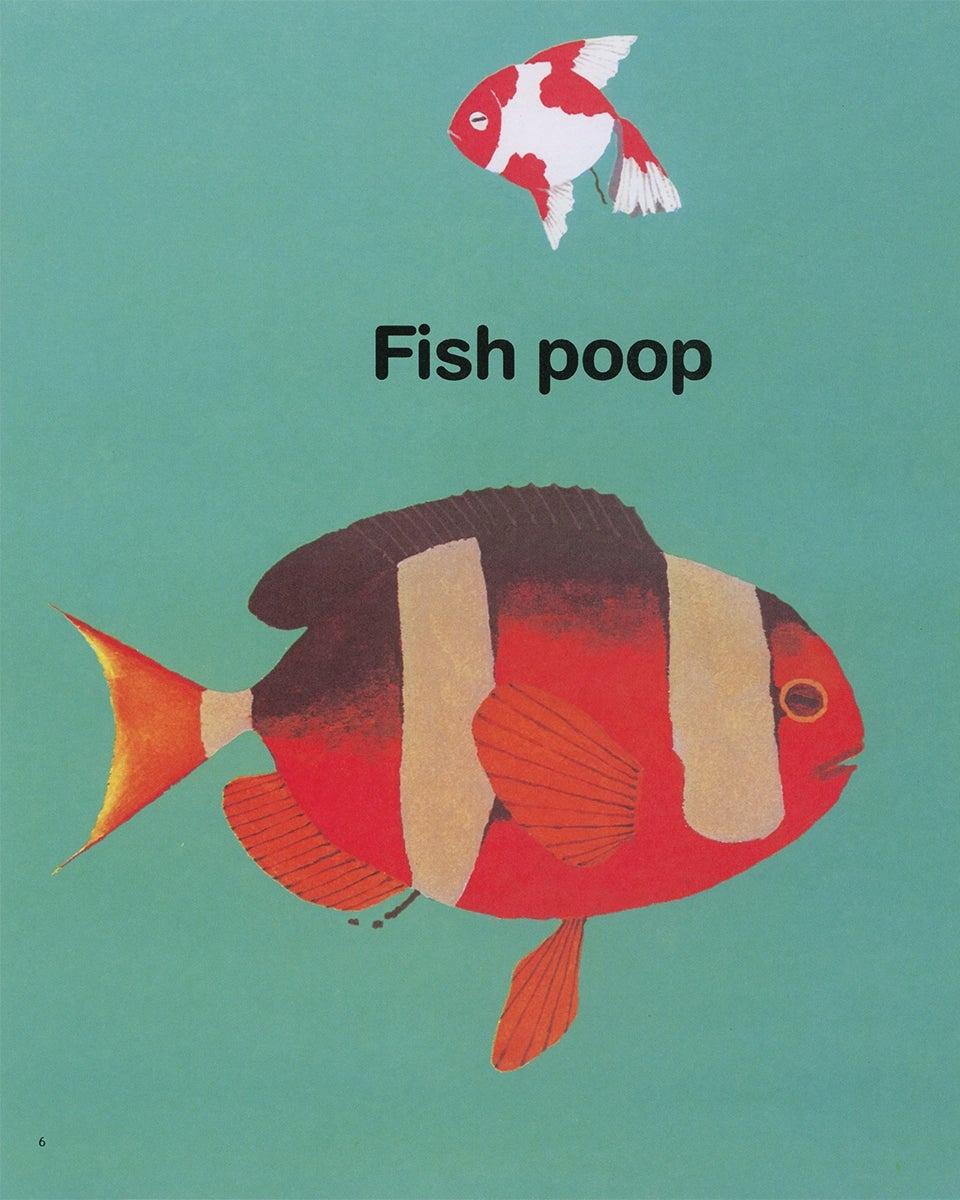 EVERYONE POOPS - CHILDREN&