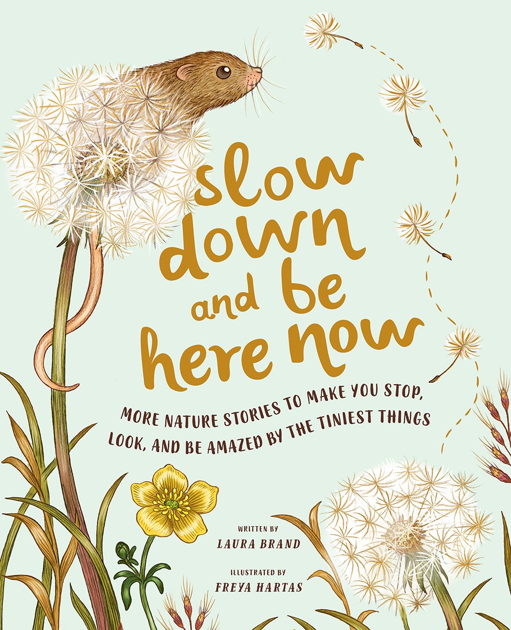 SLOW DOWN AND BE HERE NOW BOOK