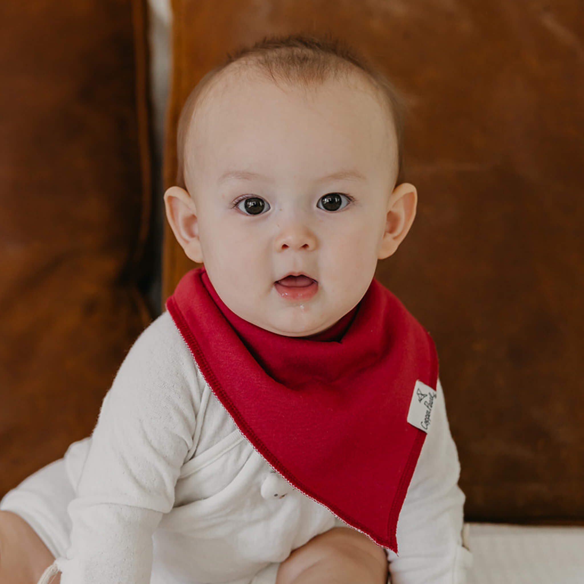BABY BANDANA BIBS - IVY