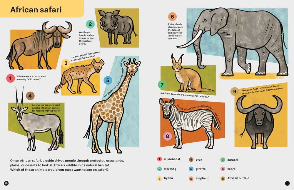 SPRING STREET DISCOVER: ANIMALS BOOK