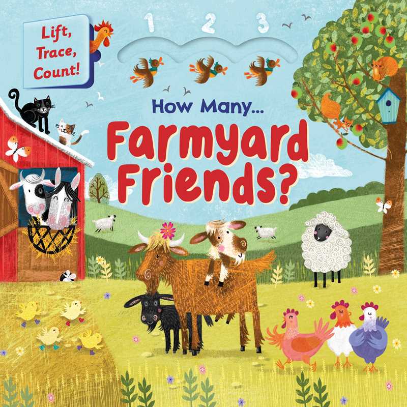 HOW MANY FARMYARD FRIENDS - BOOK