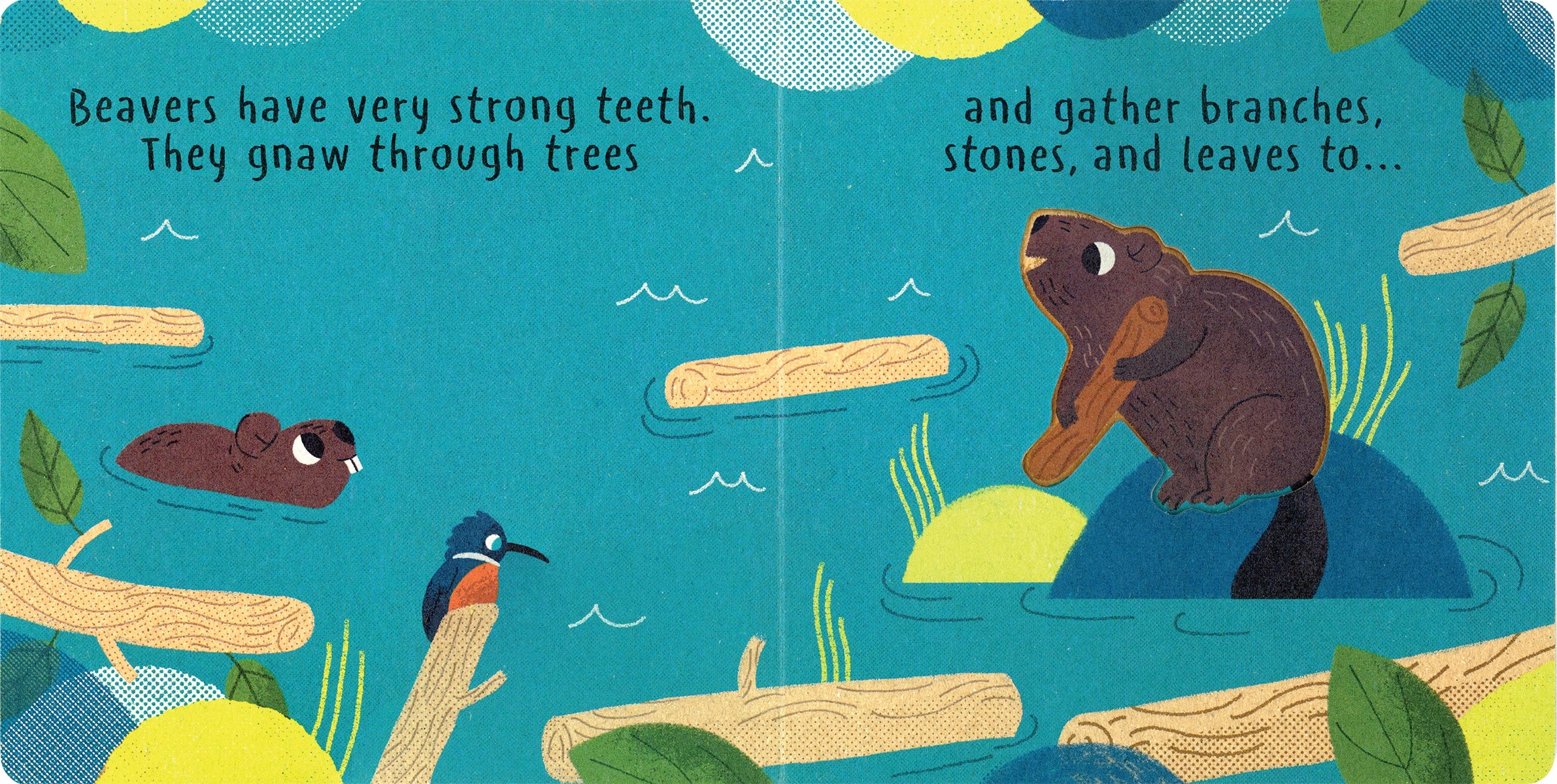 LITTLE NATURE: BUILD IT - CHILDREN&