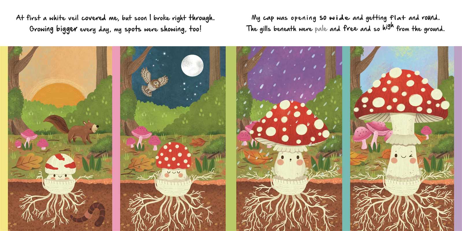 LITTLE MUSHROOM - NATURE STORIES BOOK