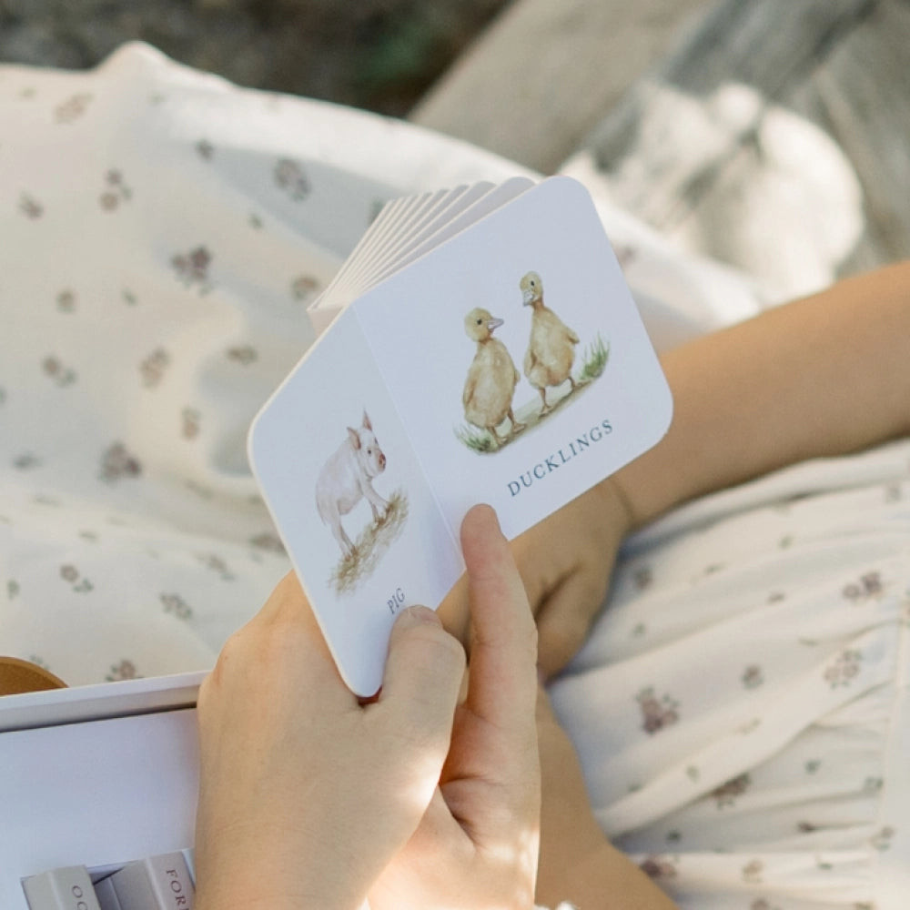 OUR VERY LITTLE LIBRARY BOOK SET