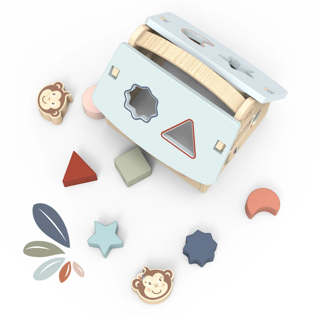 HOUSE SHAPE SORTER