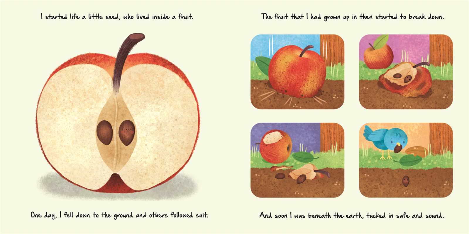 LITTLE APPLE TREE - NATURE STORIES BOOK