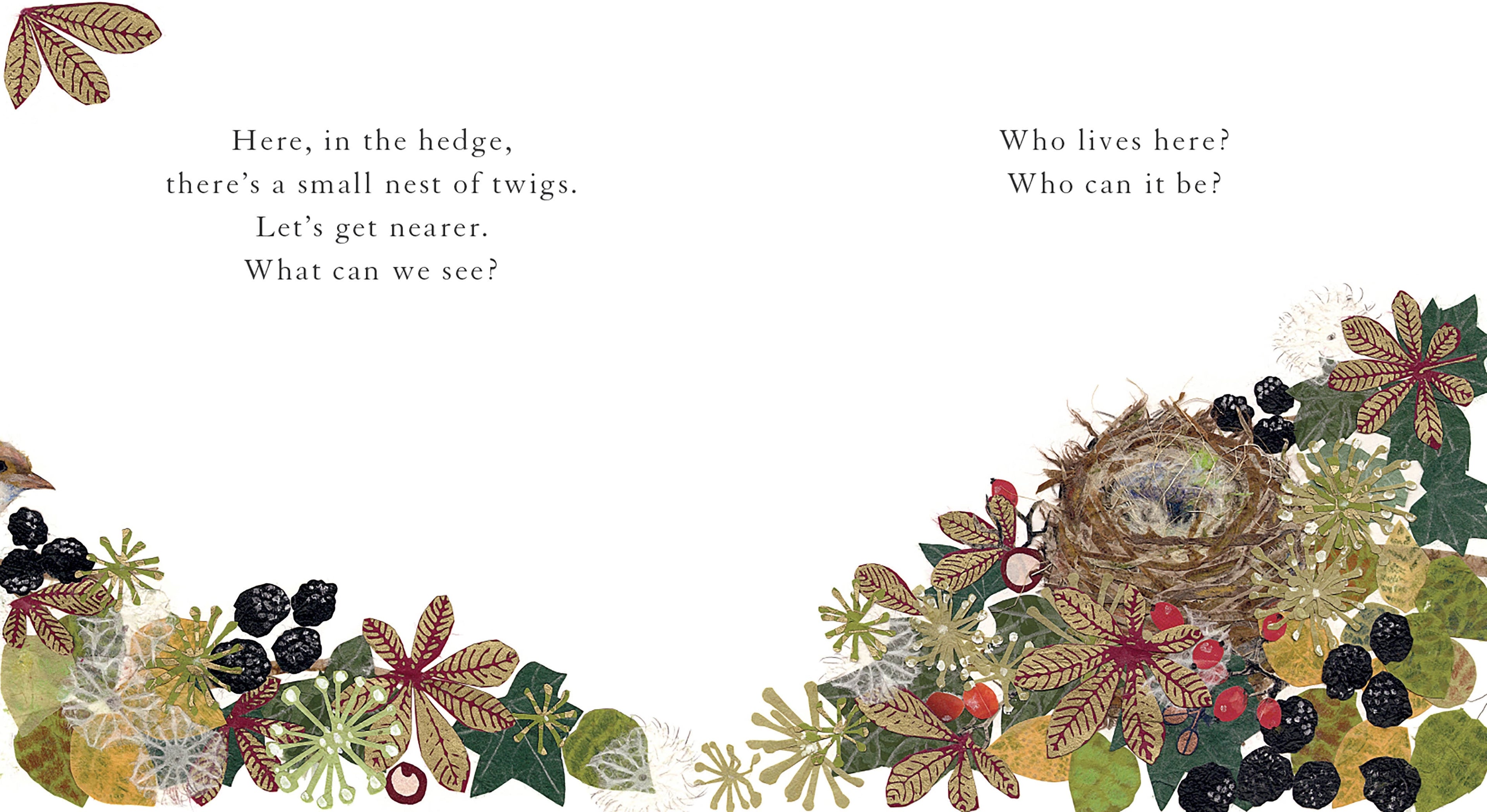 WHO LIVES HERE? BOOK