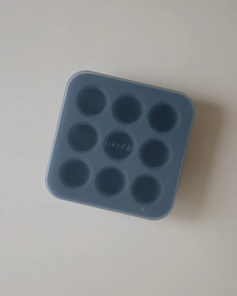 FRESH FOOD FREEZER TRAY