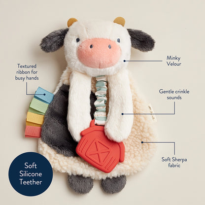 CARMEN THE COW - ITZY LOVEY