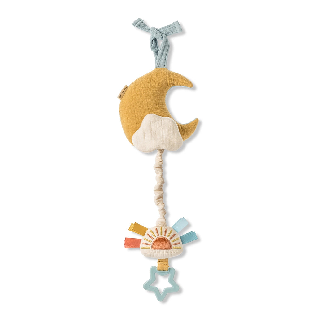 BITZY NOTES MUSICAL TOY