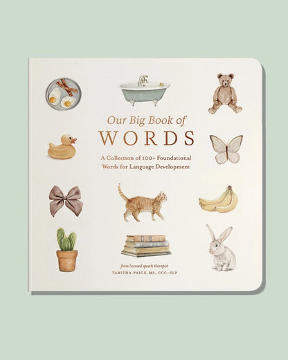 OUR BIG BOOK OF FIRST WORDS