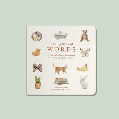 OUR BIG BOOK OF FIRST WORDS