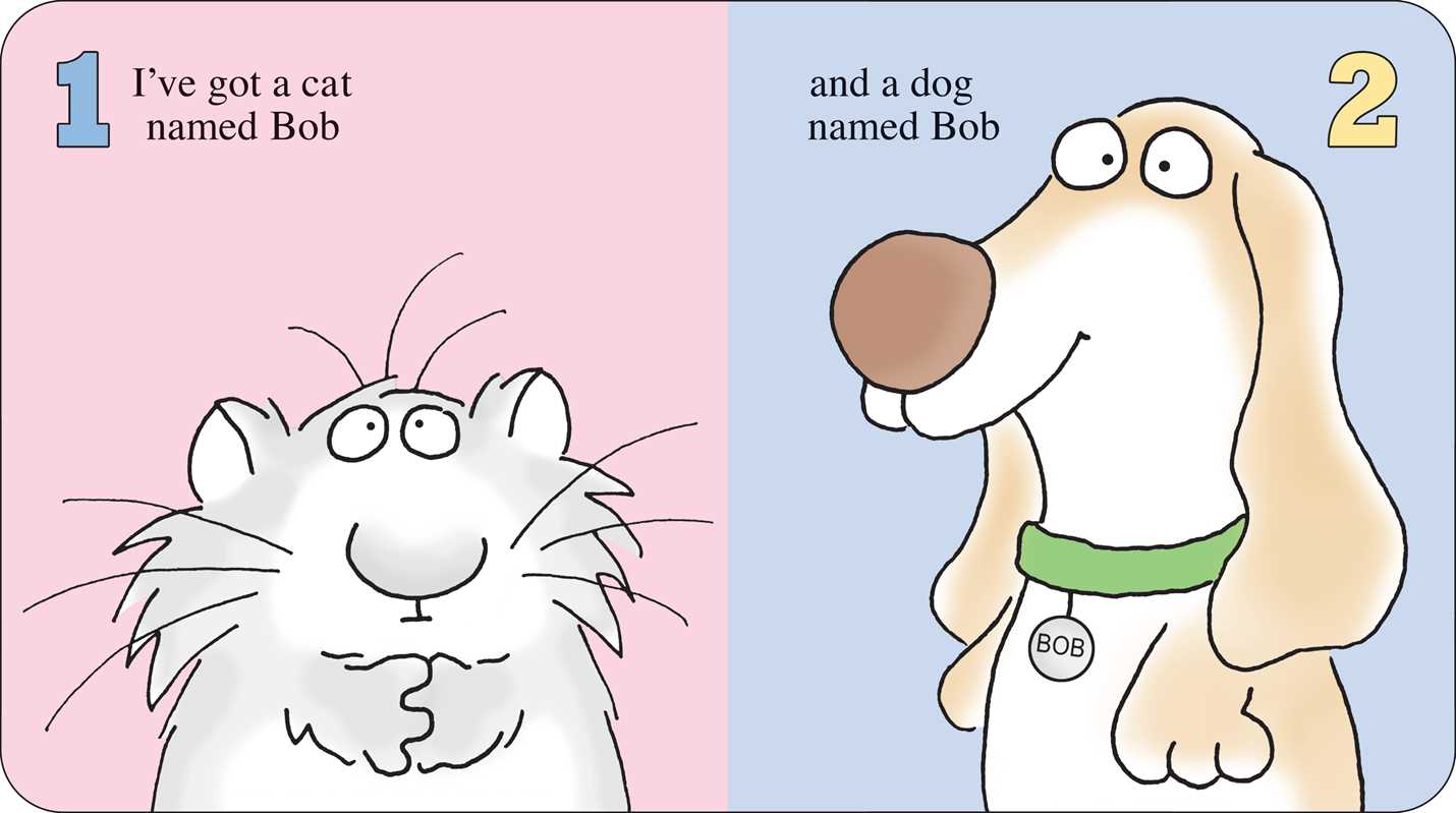 FIFTEEN ANIMALS! - BOOK