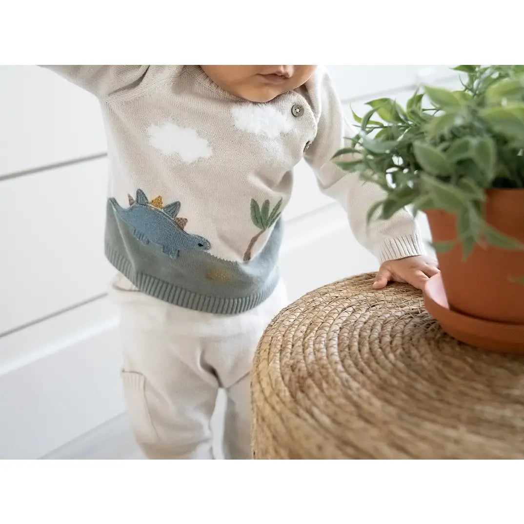 DINO APPLIQUE BUTTON PULLOVER SWEATER