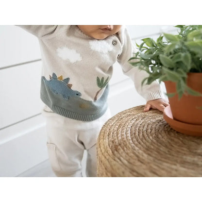 DINO APPLIQUE BUTTON PULLOVER SWEATER