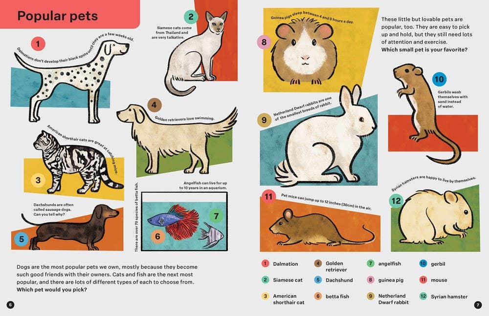 SPRING STREET DISCOVER: ANIMALS BOOK
