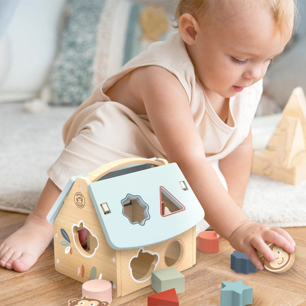 HOUSE SHAPE SORTER