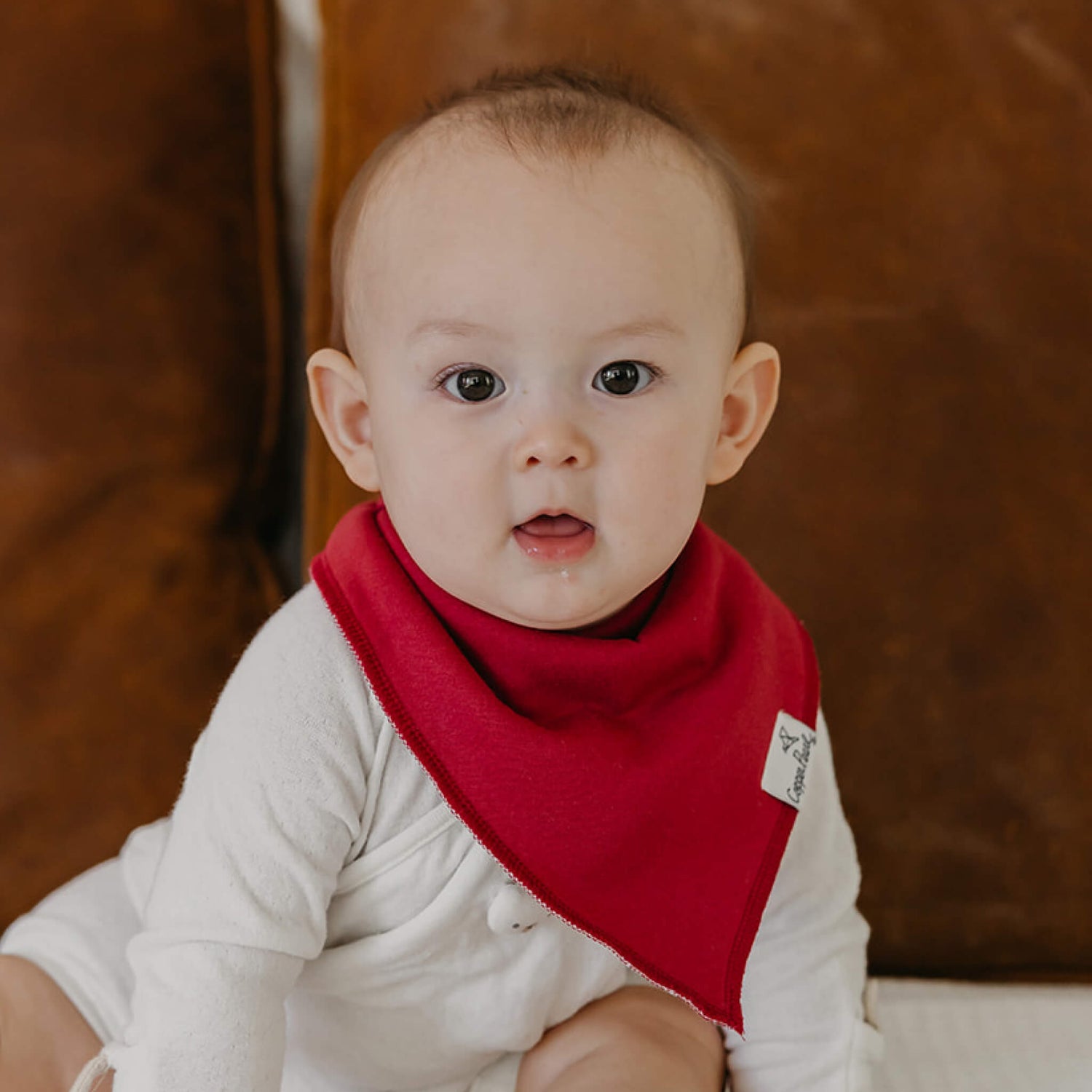 BABY BANDANA BIBS - IVY