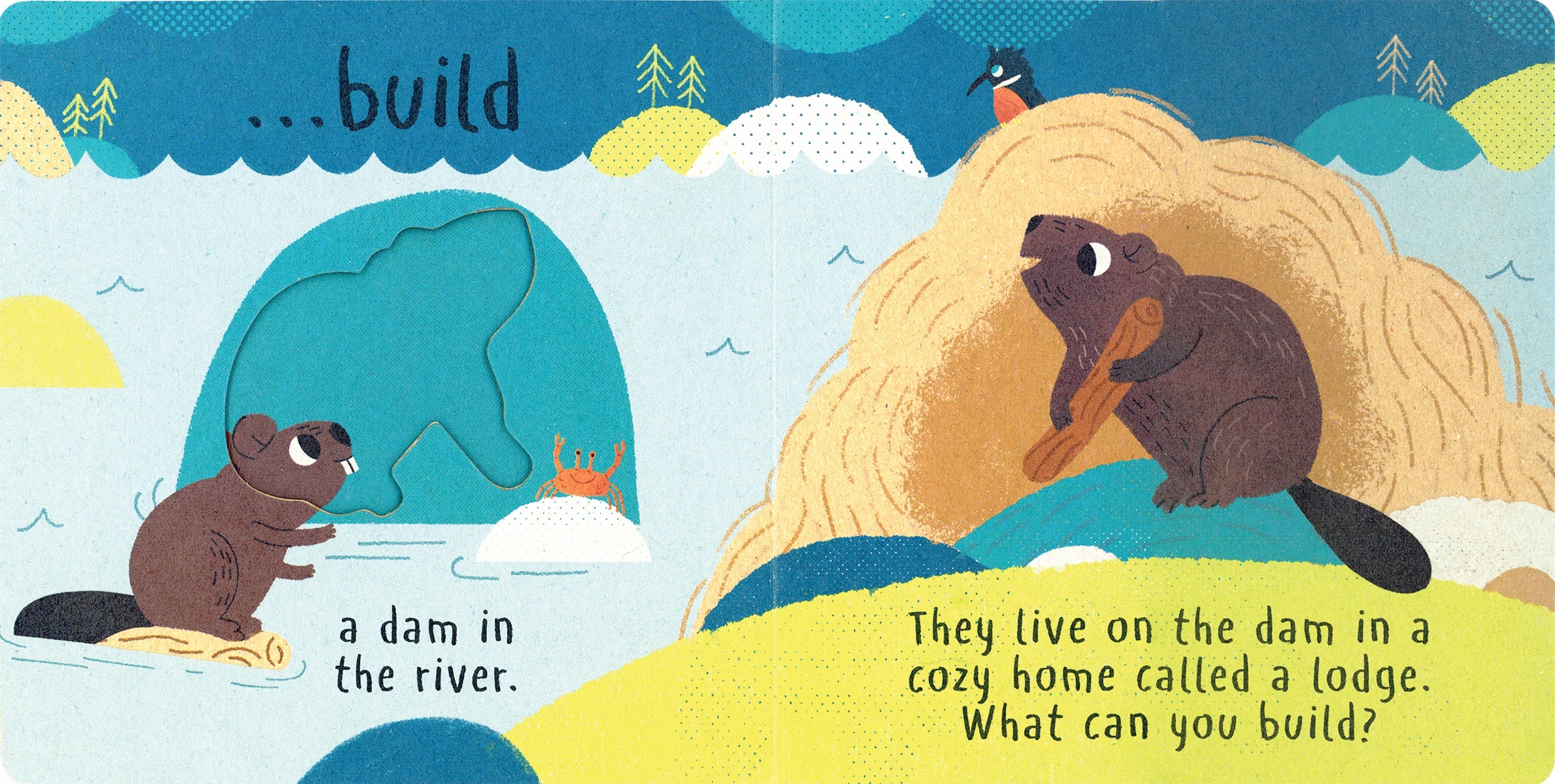 LITTLE NATURE: BUILD IT - CHILDREN&