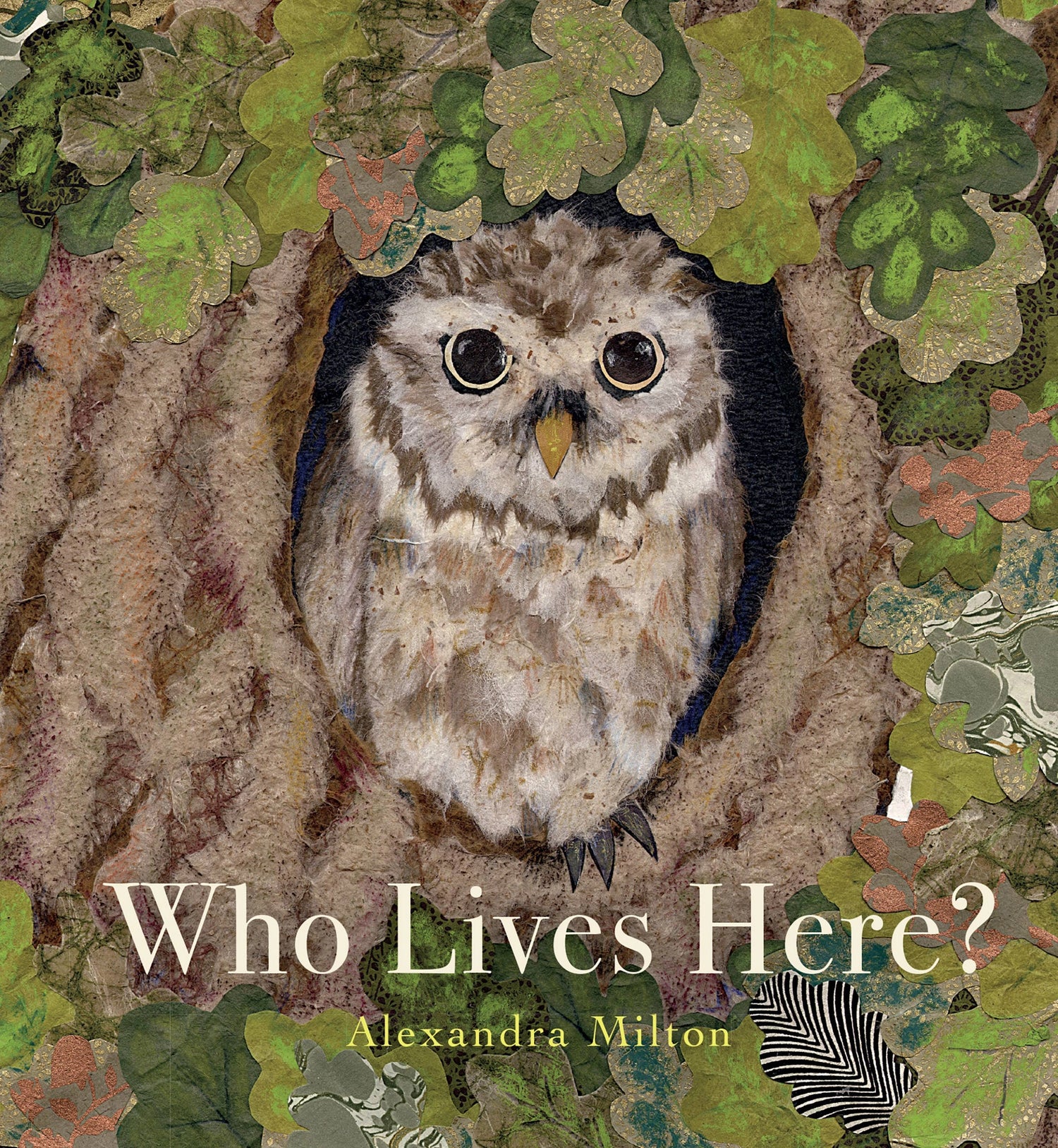 WHO LIVES HERE? BOOK