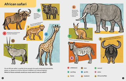 SPRING STREET DISCOVER: ANIMALS BOOK