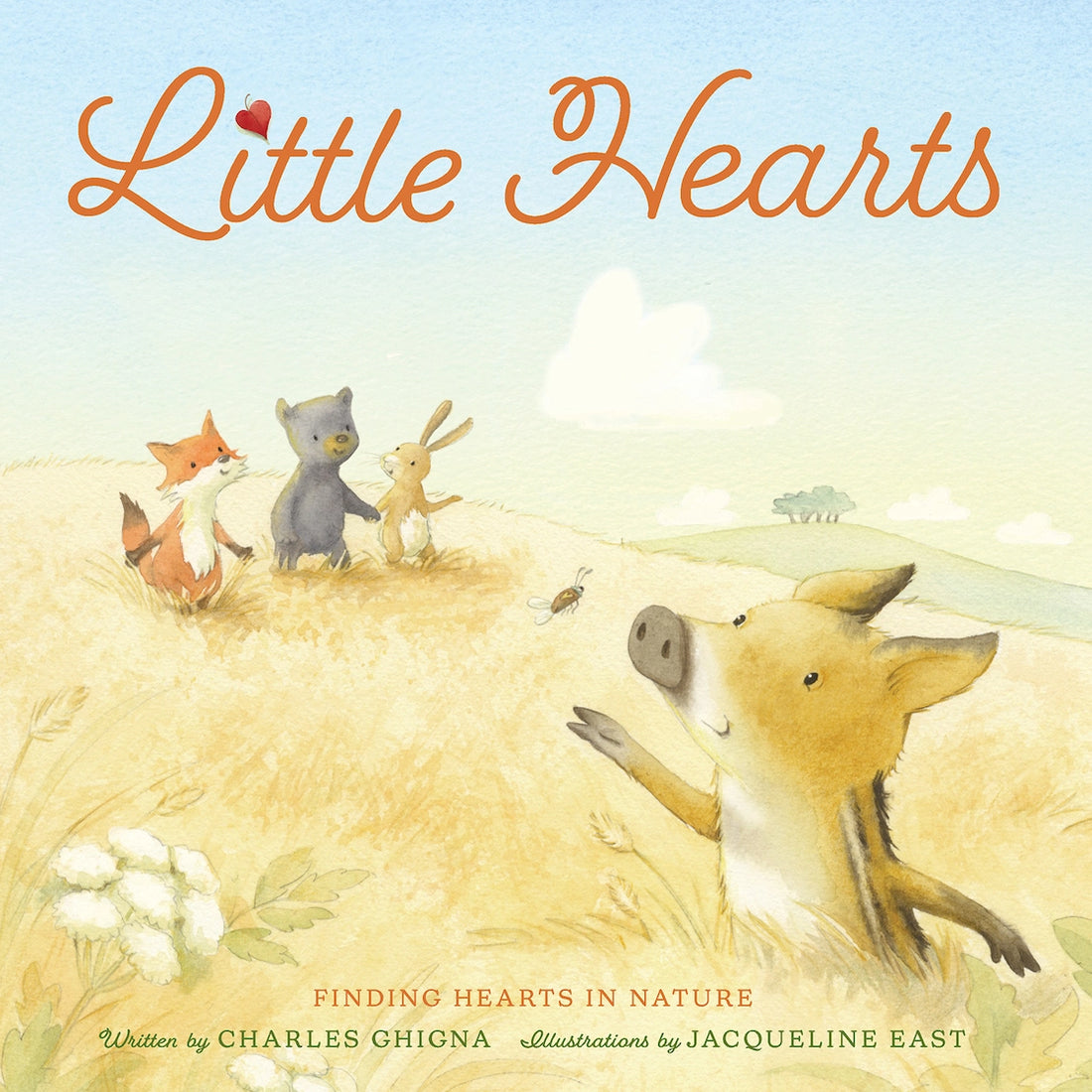 LITTLE HEARTS: FINDING HEARTS IN NATURE BOOK