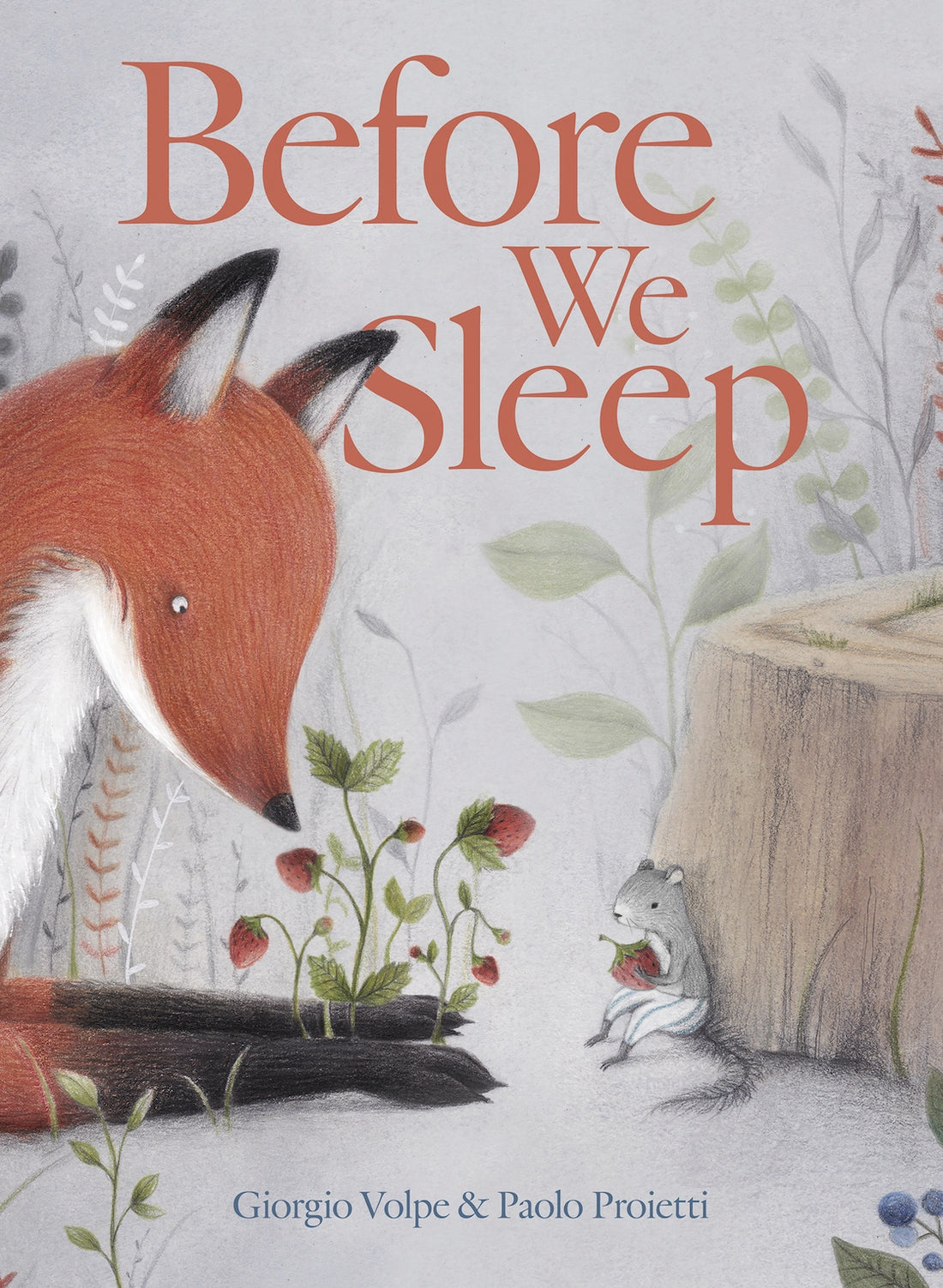 BEFORE WE SLEEP BOOK