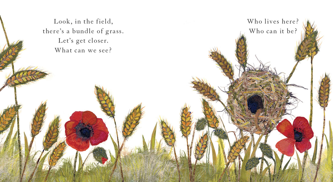 WHO LIVES HERE? BOOK