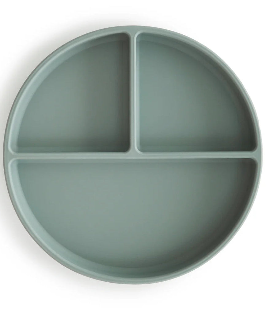 SILICONE SUCTION PLATE