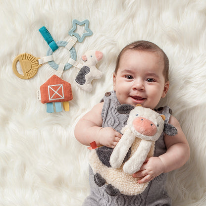 BITZY FARM GIFT SET