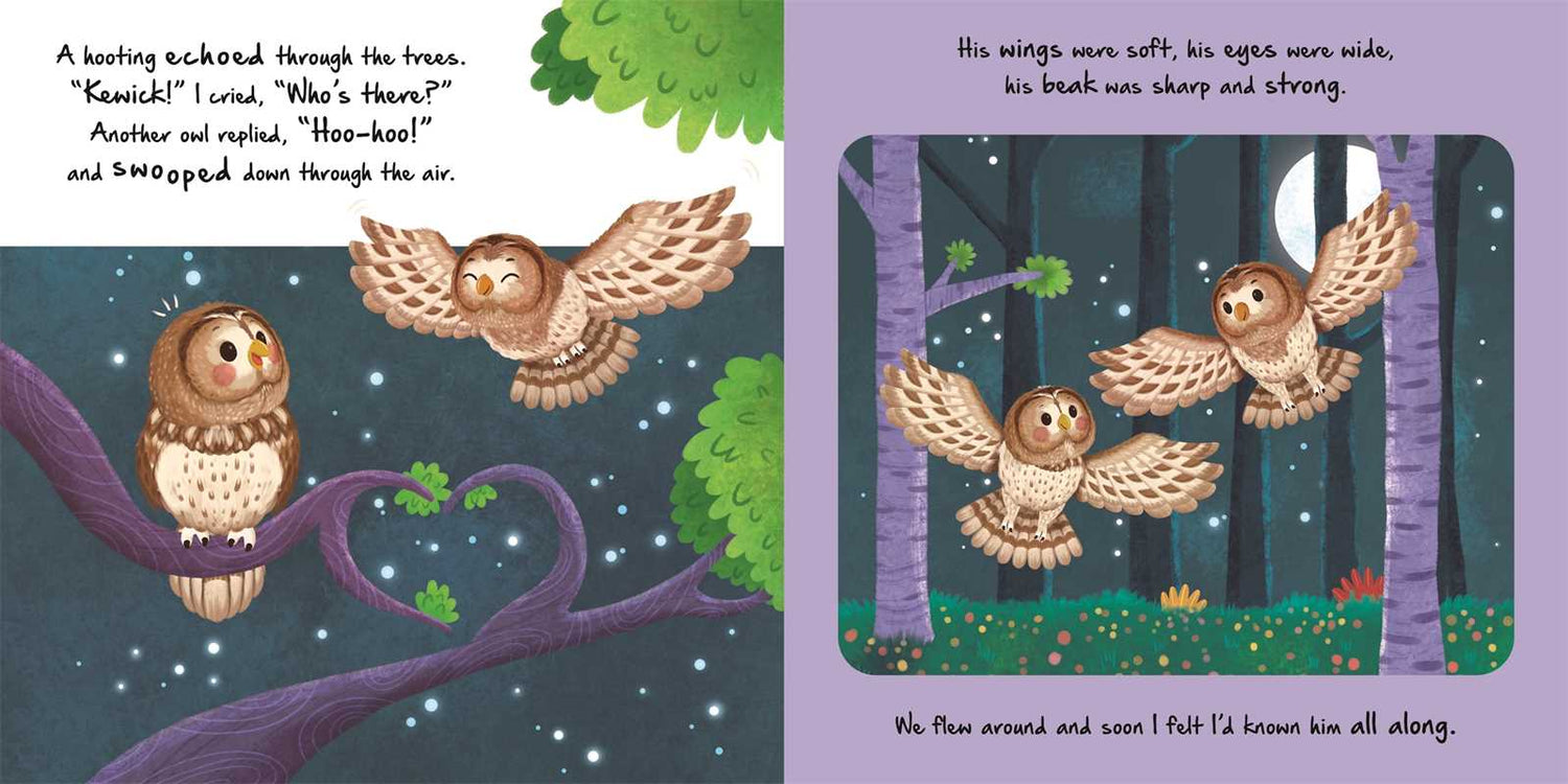 LITTLE OWL - NATURE STORIES BOOK