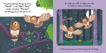 LITTLE OWL - NATURE STORIES BOOK