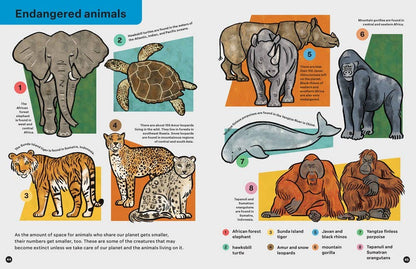 SPRING STREET DISCOVER: ANIMALS BOOK