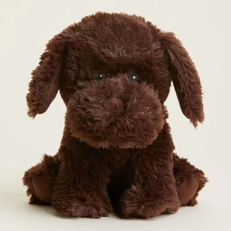 CHOCOLATE LABRADOR WARMIE