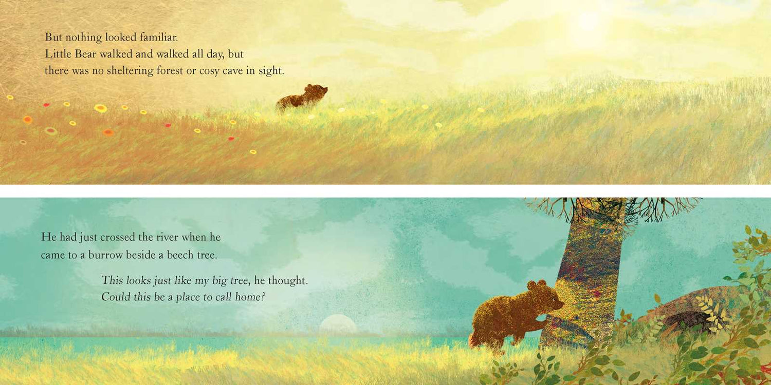 SOMEWHERE FOR LITTLE BEAR - BOOK