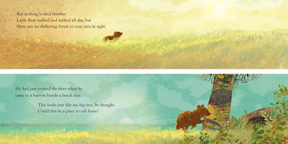SOMEWHERE FOR LITTLE BEAR - BOOK