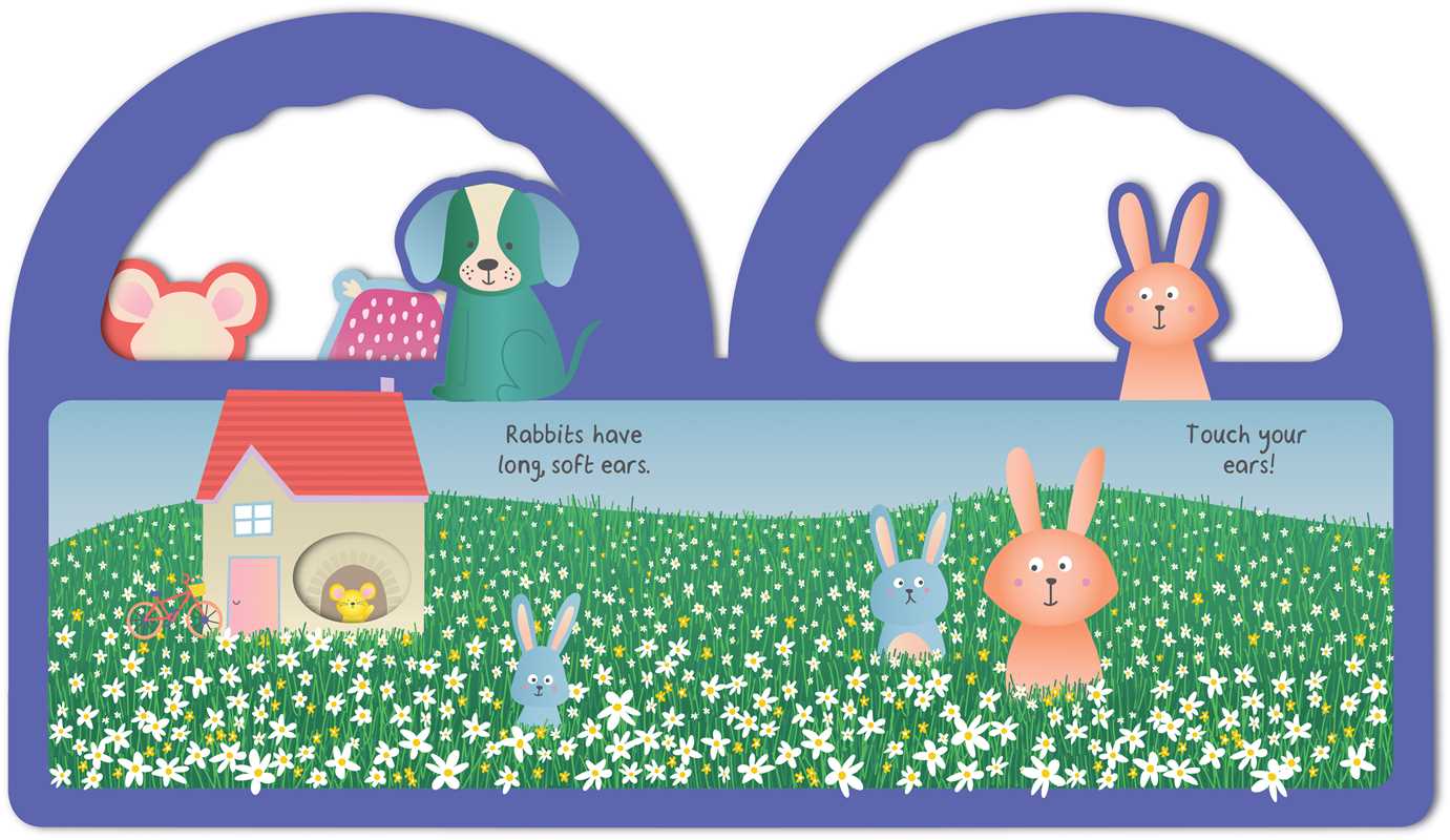 EYES, NOSE, EARS, TOES - MY FIRST PEEK-A-BOO BOOK