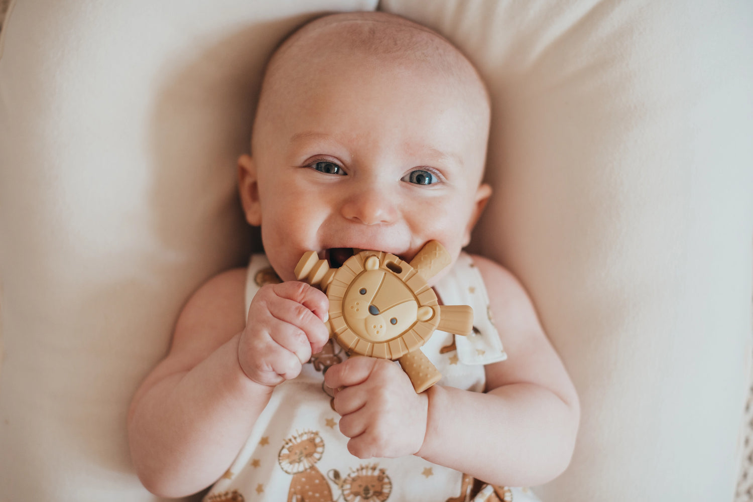 RITZY TEETHER - LION