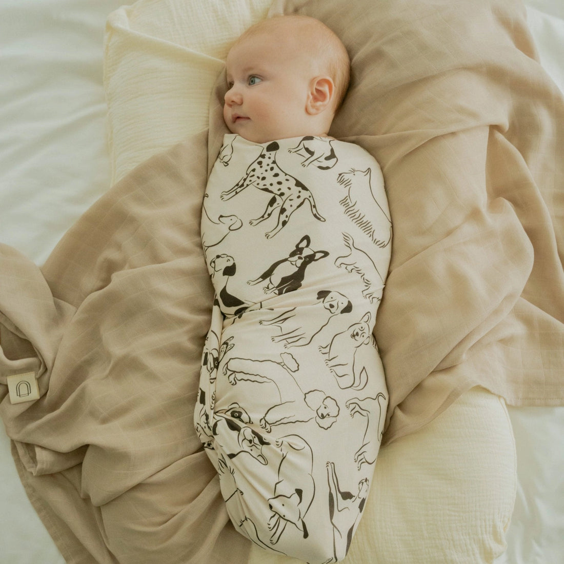 GOOD DOG STETCH SWADDLE