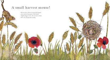 WHO LIVES HERE? BOOK