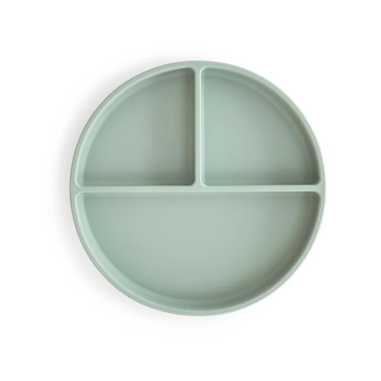 SILICONE SUCTION PLATE