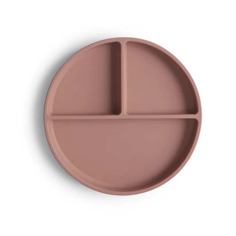 SILICONE SUCTION PLATE
