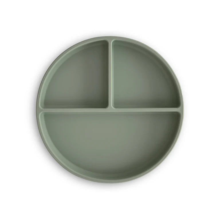 SILICONE SUCTION PLATE