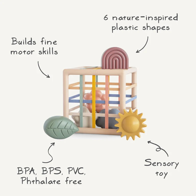 ELASTIC SHAPE SORTER