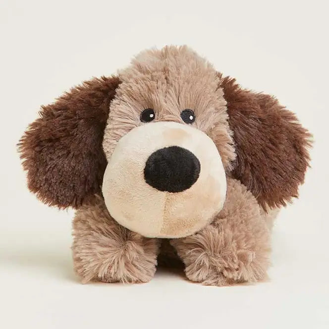 BROWN DOG WARMIES - JUNIOR