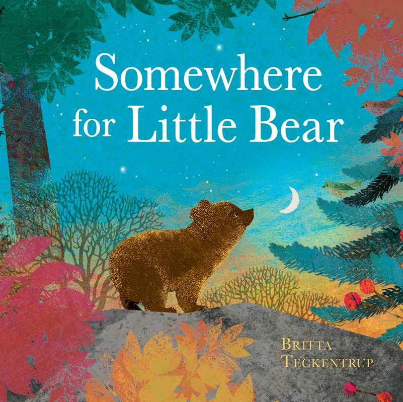 SOMEWHERE FOR LITTLE BEAR - BOOK