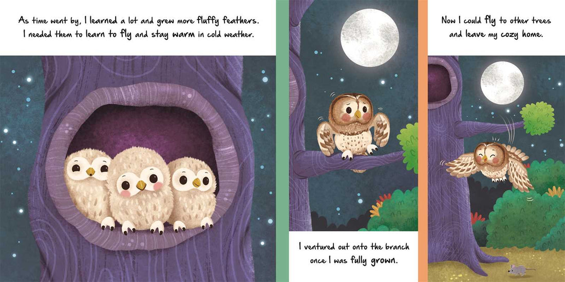 LITTLE OWL - NATURE STORIES BOOK
