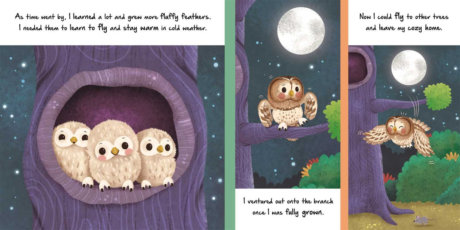 LITTLE OWL - NATURE STORIES BOOK